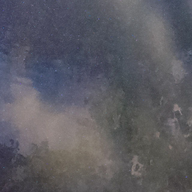 水 戯 影